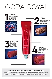 İGORA ROYAL ABSOLUTE SAÇ BOYASI 60 ML. (10-0 PLATİN SARI)